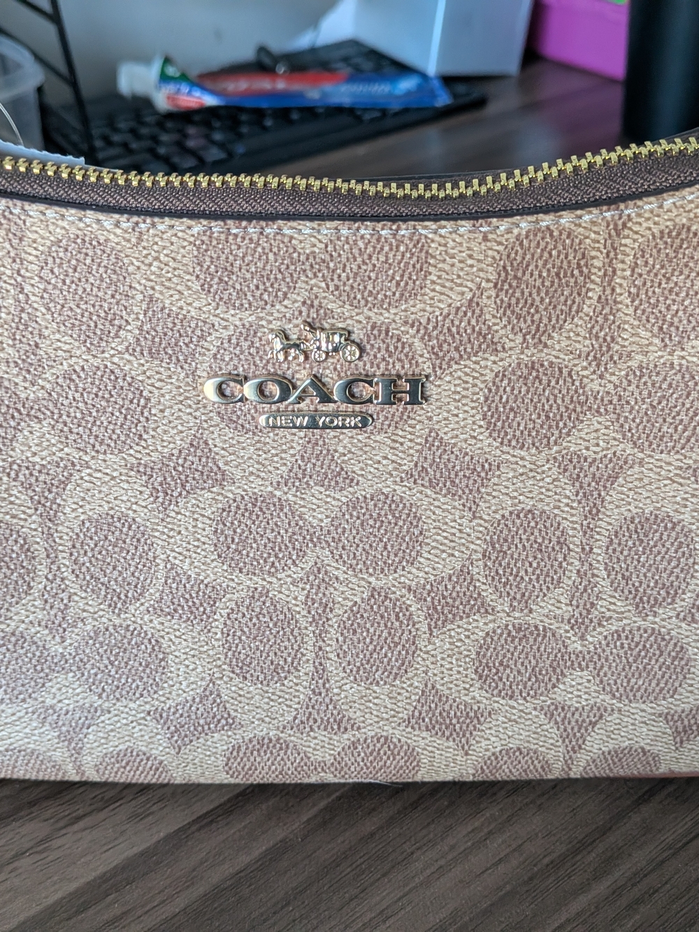 COACH Signature Canvas Crossbody in Khaki/Tan